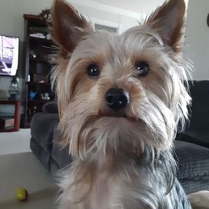 Meet your Posher, Terry